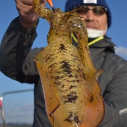 渡船屋たにぐち 釣果