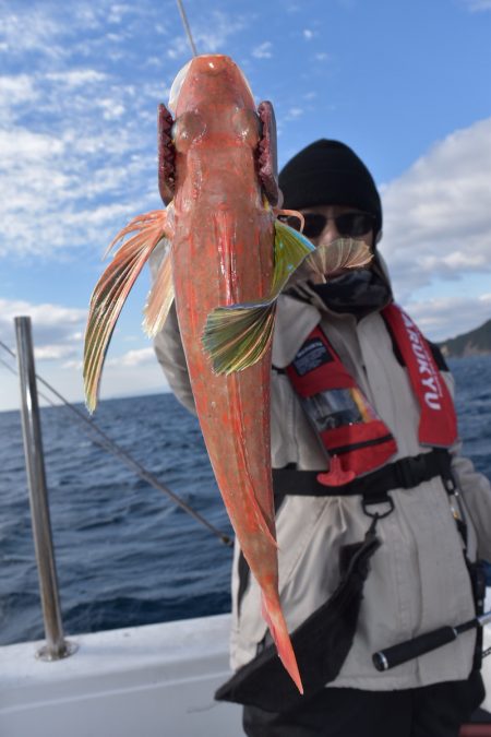 渡船屋たにぐち 釣果