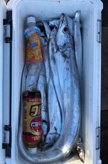 フィッシング　キッタカ 釣果