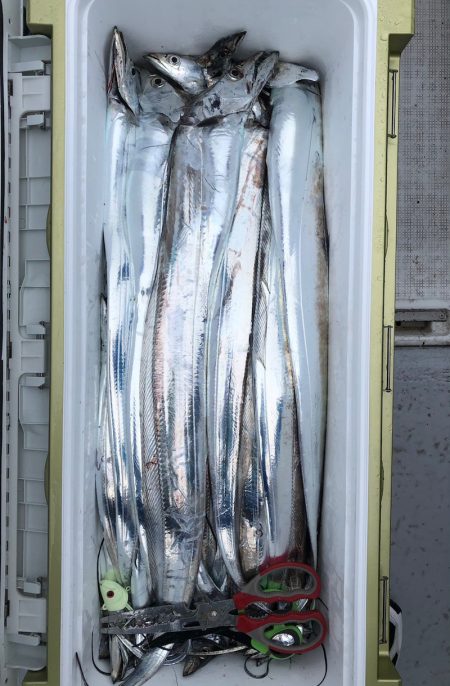 フィッシング キッタカ 釣果