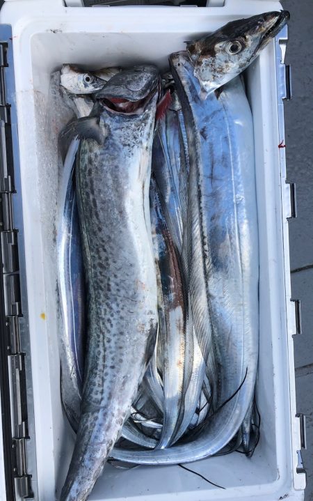 フィッシング　キッタカ 釣果