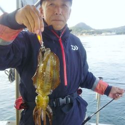 マリンガイド福丸 釣果