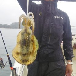 マリンガイド福丸 釣果