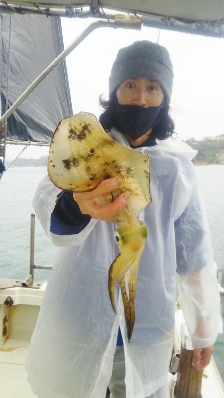 マリンガイド福丸 釣果