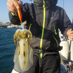 マリンガイド福丸 釣果