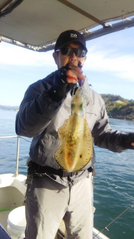 マリンガイド福丸 釣果