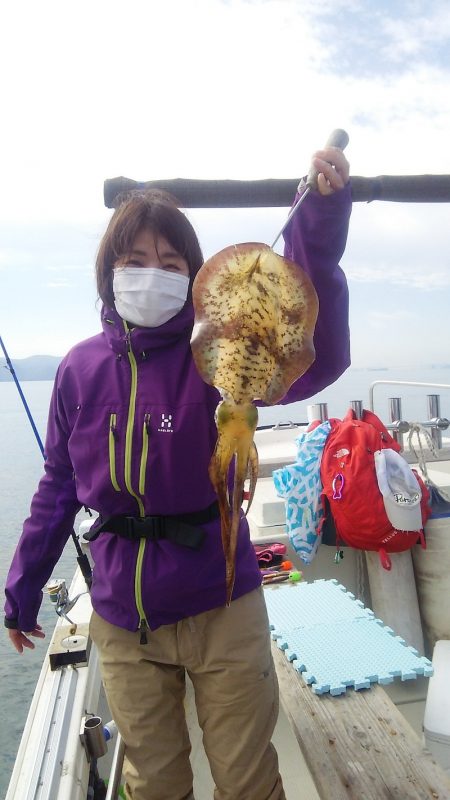 マリンガイド福丸 釣果