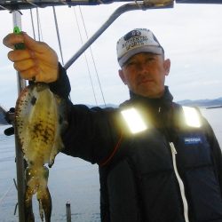 マリンガイド福丸 釣果