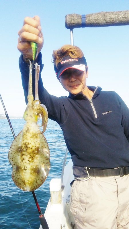 マリンガイド福丸 釣果