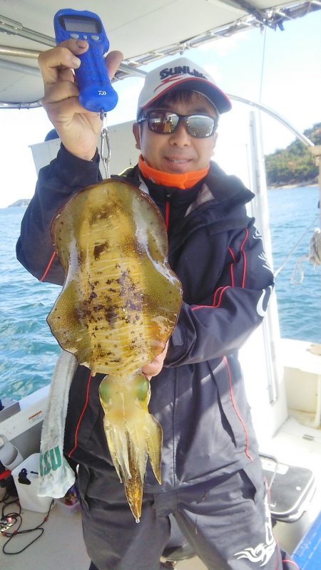 マリンガイド福丸 釣果