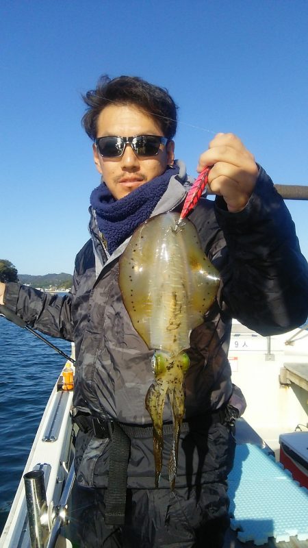 マリンガイド福丸 釣果