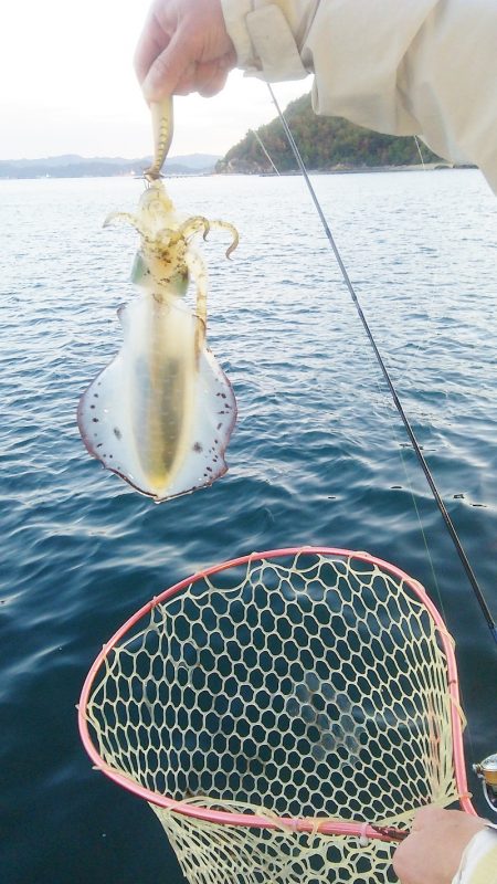 マリンガイド福丸 釣果