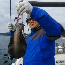 マリンガイド福丸 釣果