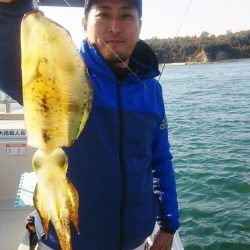 マリンガイド福丸 釣果