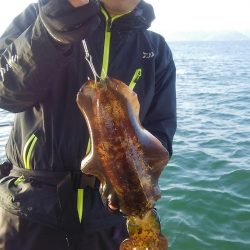 マリンガイド福丸 釣果