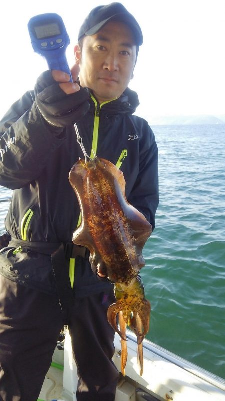マリンガイド福丸 釣果