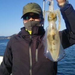 マリンガイド福丸 釣果