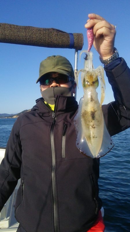 マリンガイド福丸 釣果