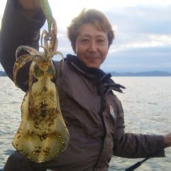 マリンガイド福丸 釣果