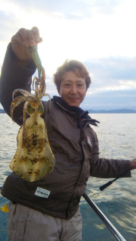 マリンガイド福丸 釣果