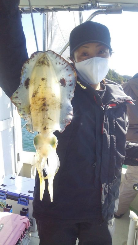 マリンガイド福丸 釣果