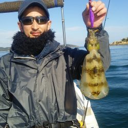 マリンガイド福丸 釣果