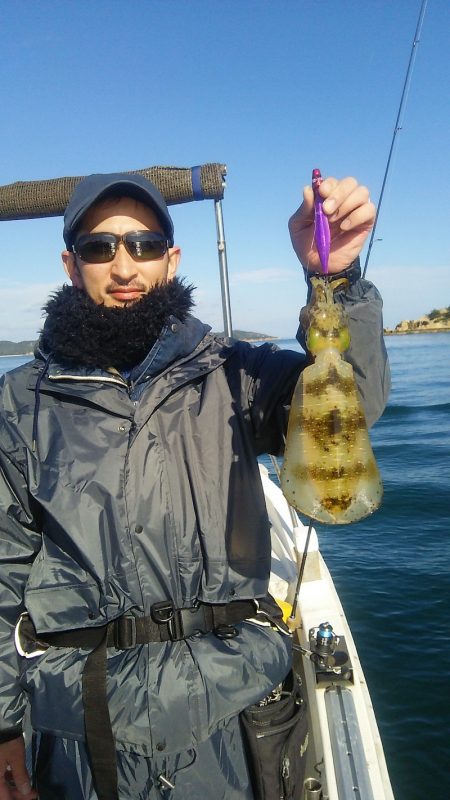 マリンガイド福丸 釣果