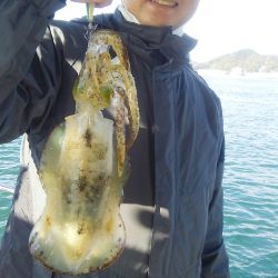 マリンガイド福丸 釣果