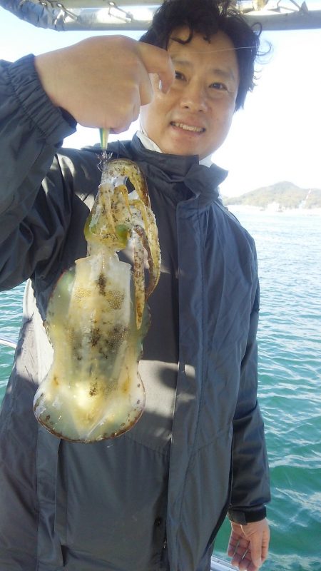 マリンガイド福丸 釣果