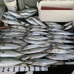 オーシャンスター(Ocean Star) 釣果