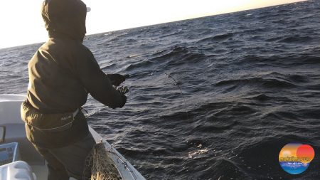 幕島丸 釣果