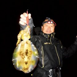 South Current 釣果