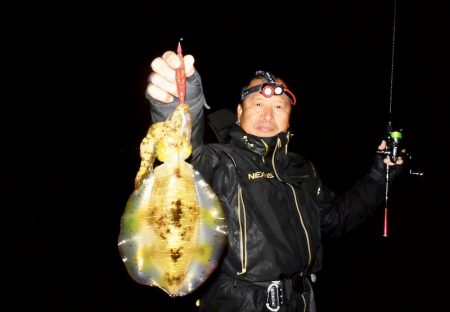 South Current 釣果