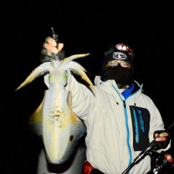 South Current 釣果