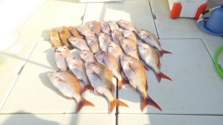 マリンガイド福丸 釣果