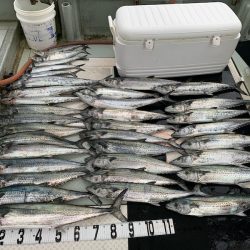 オーシャンスター(Ocean Star) 釣果