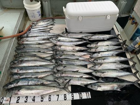 オーシャンスター(Ocean Star) 釣果