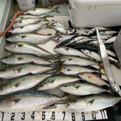 オーシャンスター(Ocean Star) 釣果