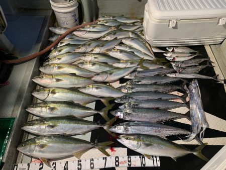 オーシャンスター(Ocean Star) …