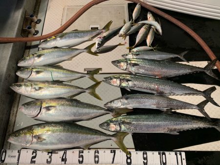 オーシャンスター(Ocean Star) …