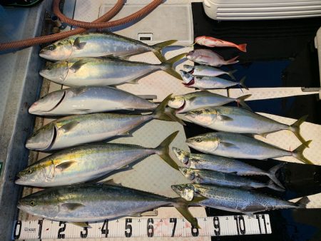 オーシャンスター(Ocean Star) …