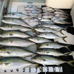 オーシャンスター(Ocean Star) 釣果