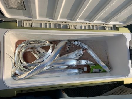 オーシャンスター(Ocean Star) 釣果