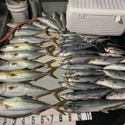 オーシャンスター(Ocean Star) 釣果