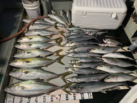 オーシャンスター(Ocean Star) …