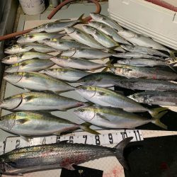 オーシャンスター(Ocean Star) 釣果