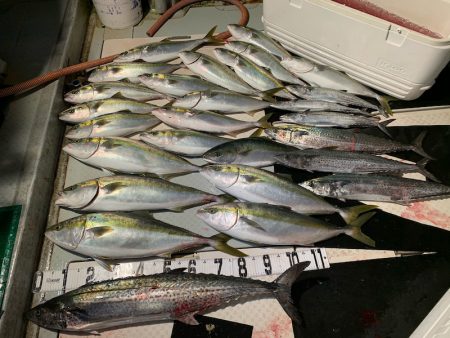 オーシャンスター(Ocean Star) …