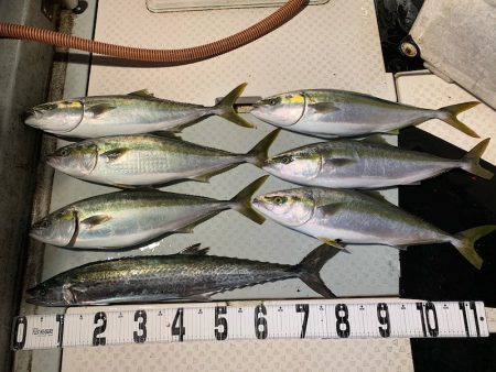 オーシャンスター(Ocean Star) …