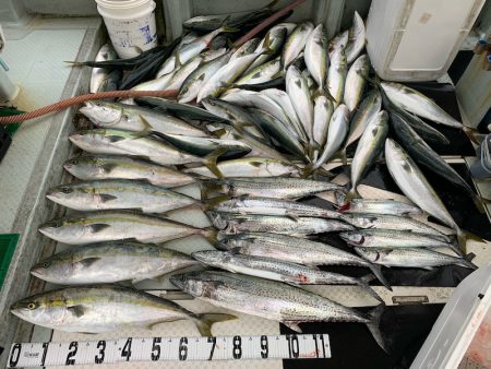 オーシャンスター(Ocean Star) …