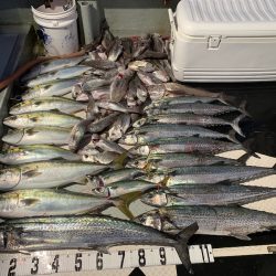 オーシャンスター(Ocean Star) 釣果